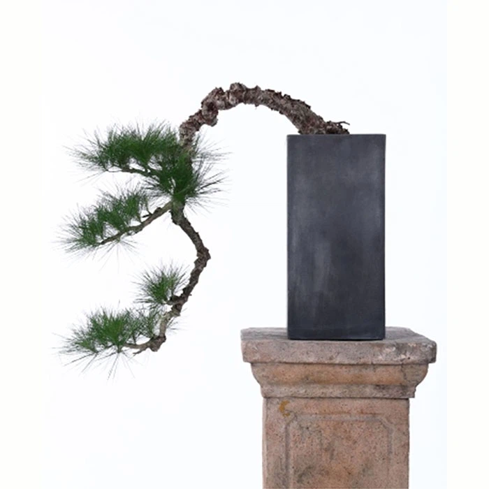 Artificial European Bonsai